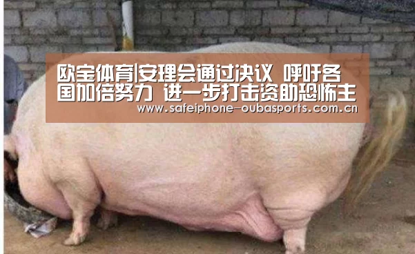 欧宝体育